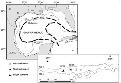 Community Dynamics of Fish Assemblages on Mid-Shelf and Outer-Shelf Coral Reefs in the Northwestern Gulf of Mexico